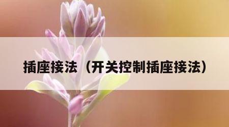 插座接法（开关控制插座接法）