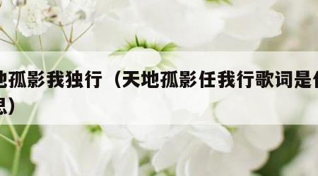 天地孤影我独行（天地孤影任我行歌词是什么意思）