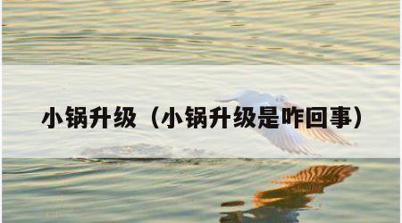 小锅升级（小锅升级是咋回事）