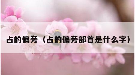 占的偏旁（占的偏旁部首是什么字）