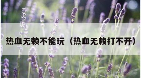 热血无赖不能玩（热血无赖打不开）