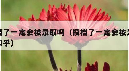投档了一定会被录取吗（投档了一定会被录取吗知乎）