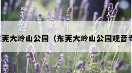 东莞大岭山公园（东莞大岭山公园观音寺）