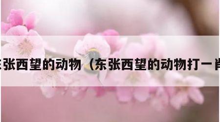 东张西望的动物（东张西望的动物打一肖）