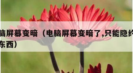电脑屏幕变暗（电脑屏幕变暗了,只能隐约看到东西）