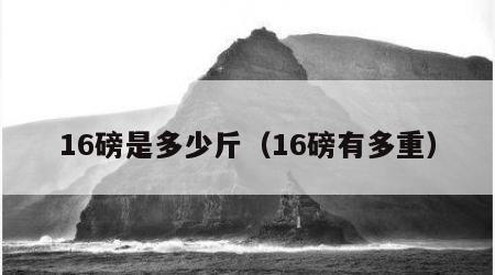 16磅是多少斤（16磅有多重）