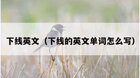 下线英文（下线的英文单词怎么写）