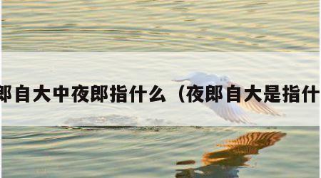 夜郎自大中夜郎指什么（夜郎自大是指什么）