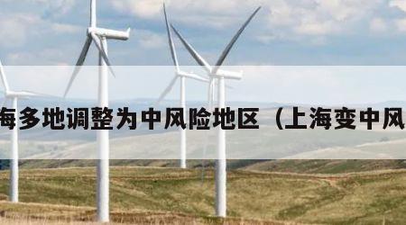 上海多地调整为中风险地区（上海变中风险）