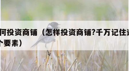 如何投资商铺（怎样投资商铺?千万记住这15个要素）