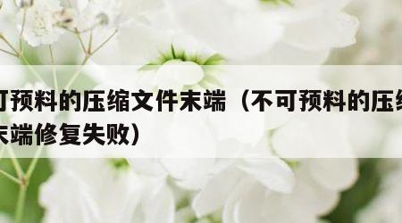 不可预料的压缩文件末端（不可预料的压缩文件末端修复失败）