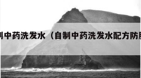 自制中药洗发水（自制中药洗发水配方防脱发）