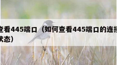 查看445端口（如何查看445端口的连接状态）