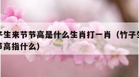 竹子生来节节高是什么生肖打一肖（竹子生来节节高指什么）