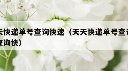 天天快递单号查询快速（天天快递单号查询号码查询快）