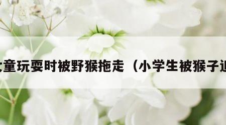 女童玩耍时被野猴拖走（小学生被猴子追）