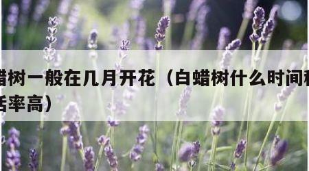白蜡树一般在几月开花（白蜡树什么时间种植成活率高）