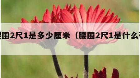 腰围2尺1是多少厘米（腰围2尺1是什么码）