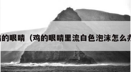 鸡的眼睛（鸡的眼睛里流白色泡沫怎么办）