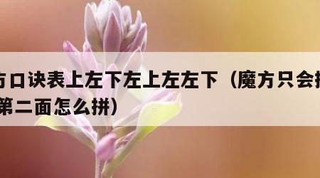 魔方口诀表上左下左上左左下（魔方只会拼一面,第二面怎么拼）