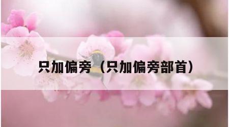 只加偏旁（只加偏旁部首）