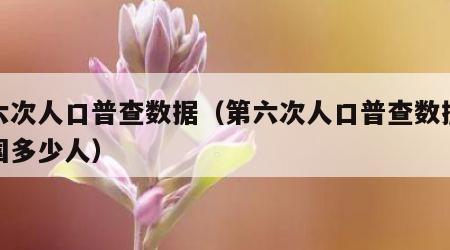 第六次人口普查数据（第六次人口普查数据表中国多少人）