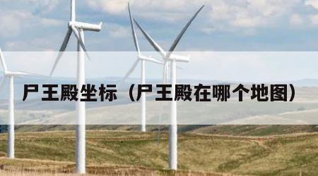 尸王殿坐标（尸王殿在哪个地图）