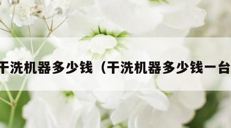 干洗机器多少钱（干洗机器多少钱一台）