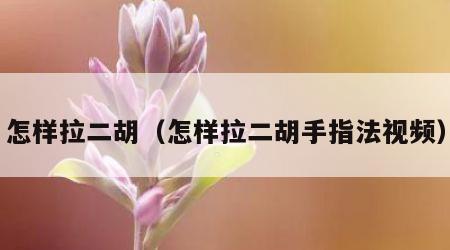 怎样拉二胡（怎样拉二胡手指法视频）
