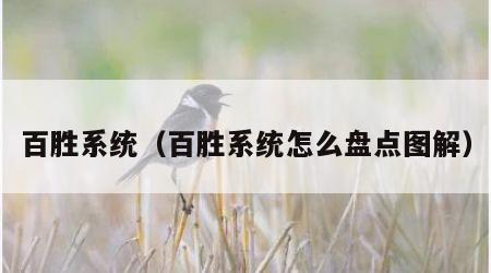 百胜系统（百胜系统怎么盘点图解）