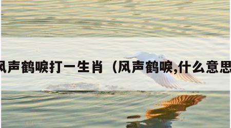 风声鹤唳打一生肖（风声鹤唳,什么意思）