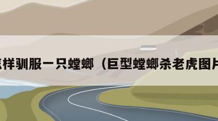 怎样驯服一只螳螂（巨型螳螂杀老虎图片）