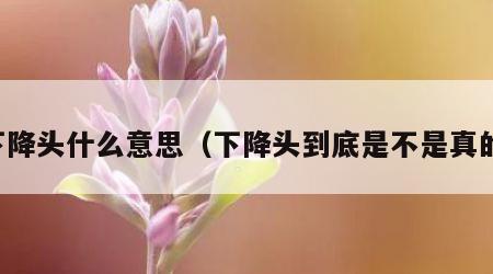下降头什么意思（下降头到底是不是真的）