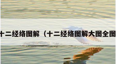 十二经络图解（十二经络图解大图全图）