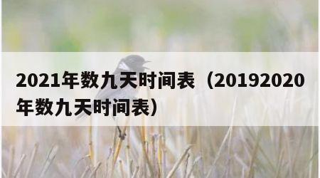2021年数九天时间表（20192020年数九天时间表）