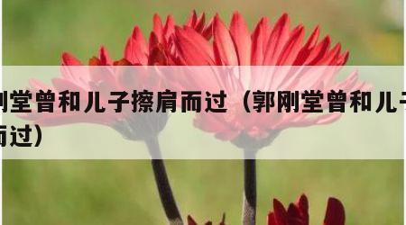 郭刚堂曾和儿子擦肩而过（郭刚堂曾和儿子擦肩而过）