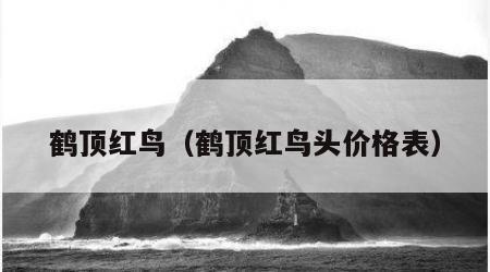 鹤顶红鸟（鹤顶红鸟头价格表）