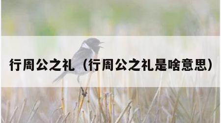 行周公之礼（行周公之礼是啥意思）