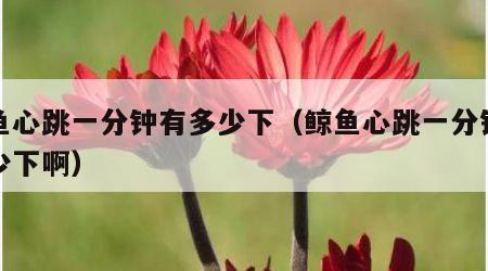 鲸鱼心跳一分钟有多少下（鲸鱼心跳一分钟有多少下啊）
