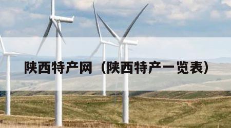 陕西特产网（陕西特产一览表）