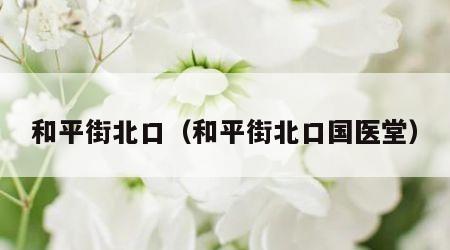 和平街北口（和平街北口国医堂）