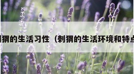 刺猬的生活习性（刺猬的生活环境和特点）