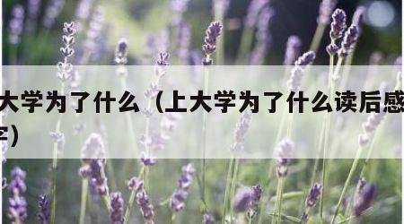 上大学为了什么（上大学为了什么读后感800字）