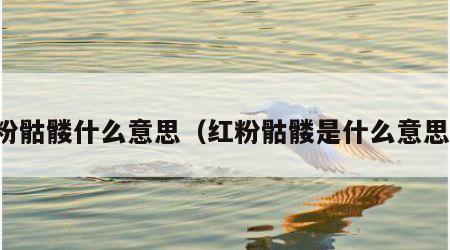 红粉骷髅什么意思（红粉骷髅是什么意思啊）