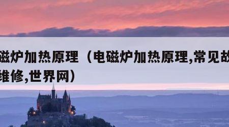 电磁炉加热原理（电磁炉加热原理,常见故障及维修,世界网）