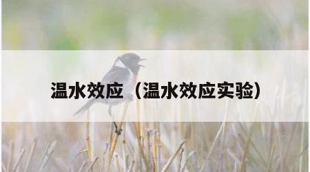 温水效应（温水效应实验）