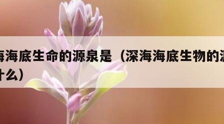深海海底生命的源泉是（深海海底生物的源泉是什么）