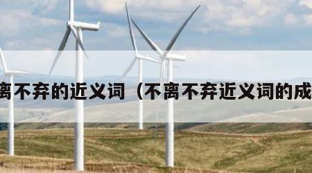 不离不弃的近义词（不离不弃近义词的成语）
