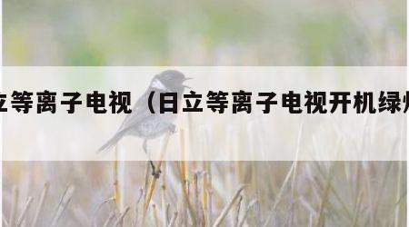 日立等离子电视（日立等离子电视开机绿灯黑屏）