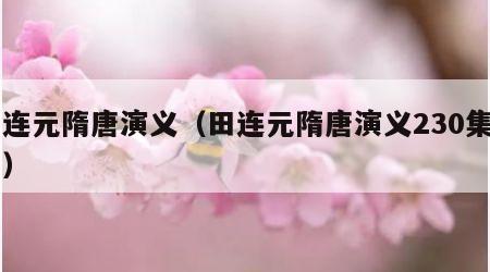 田连元隋唐演义（田连元隋唐演义230集目录）